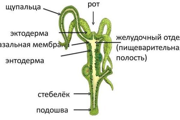 Как восстановить аккаунт на кракене даркнет