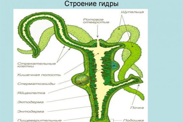 Сайт кракен гидра