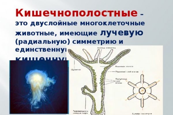 Ссылка на кракен шоп