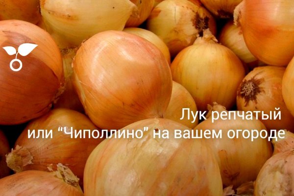Найти ссылку кракен